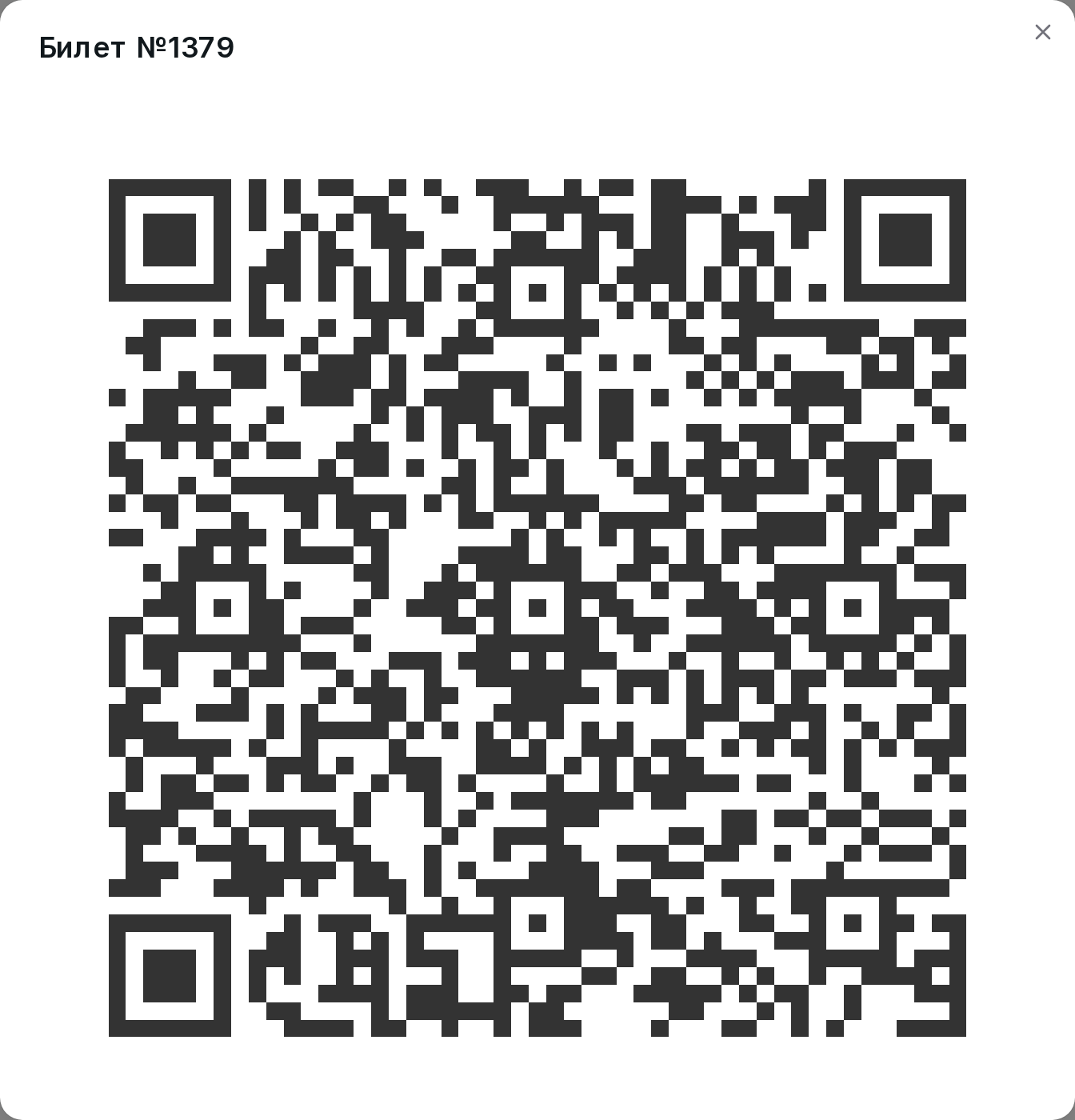 QR-код билета, открытый крупно